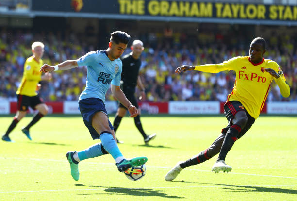 他教练生涯 他教练生涯